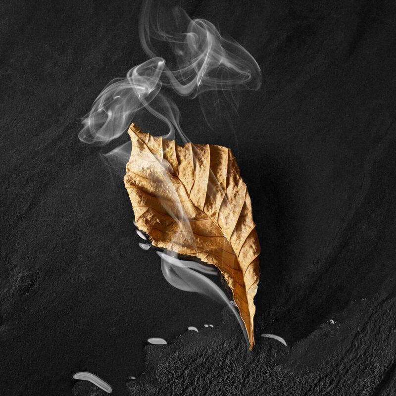 Ein trocknes, braunes Blatt schwebt uber einer schwarzen Flache, umgeben von sanften Rauchschwaden.