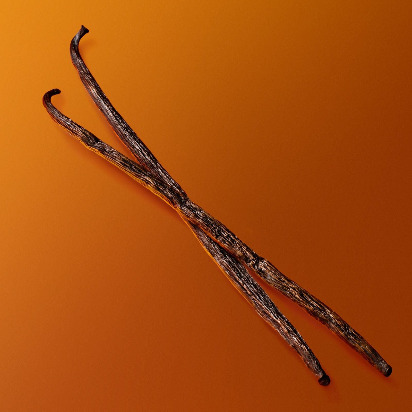 Deux gousses de vanille foncees presentees sur un fond orange degrade, mettant en evidence les notes naturelles de parfum.