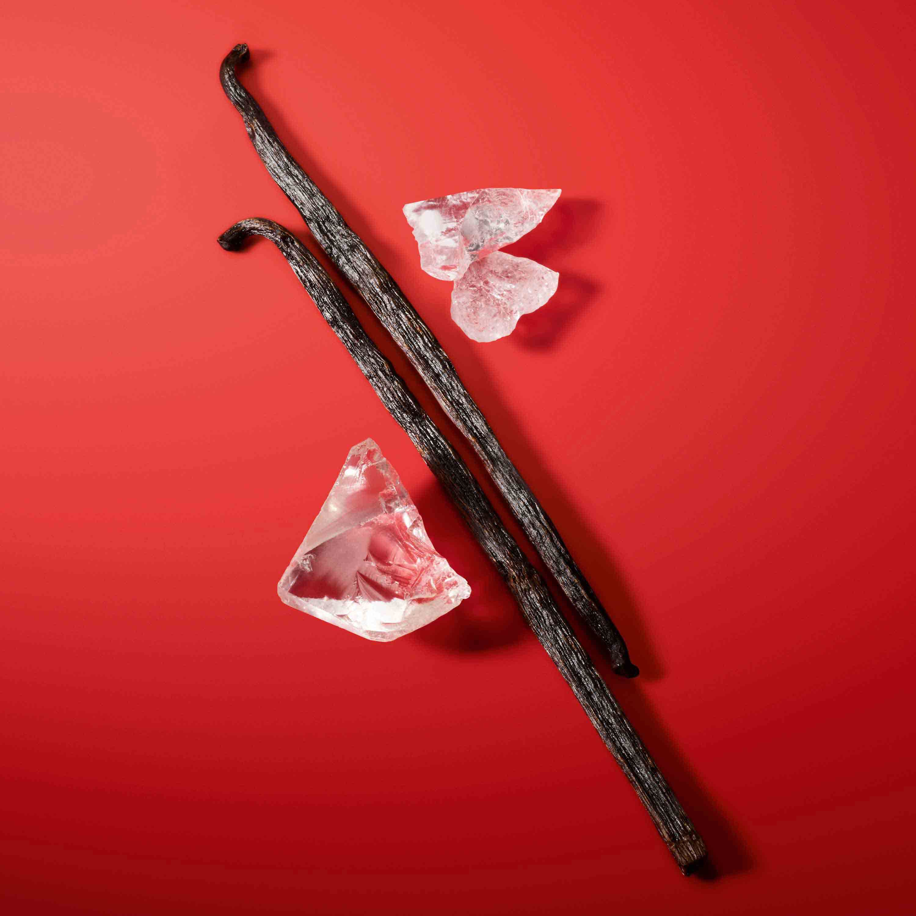 Two vanilla beans and several crystalline pieces of sugar are arranged on a vibrant red background.