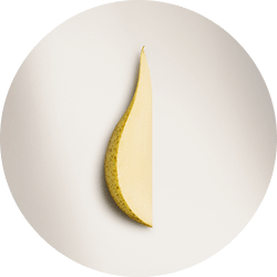 A delicate cluster of small purple heliotrope flowers, representing a floral accord for fragrance, is displayed on a white background.