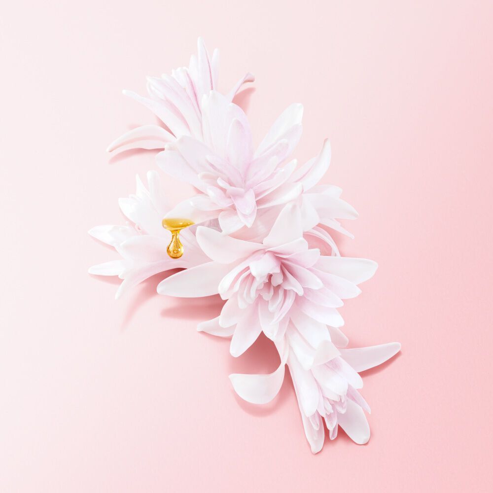 Zarte, rosa Blutenblatter auf einem rosafarbenen Hintergrund, mit einem goldenen Tropfen im Mittelpunkt.