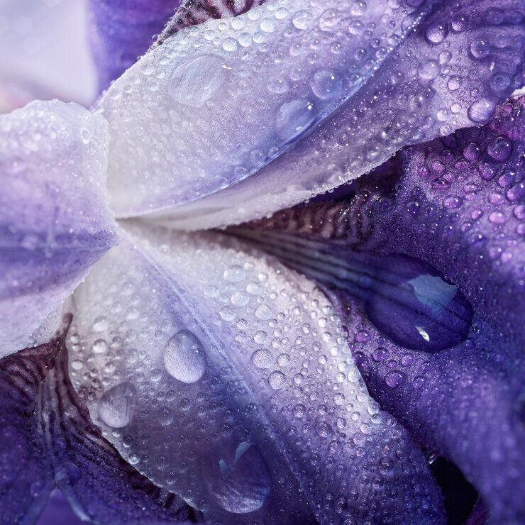 My Way Nachfullbare Parfum