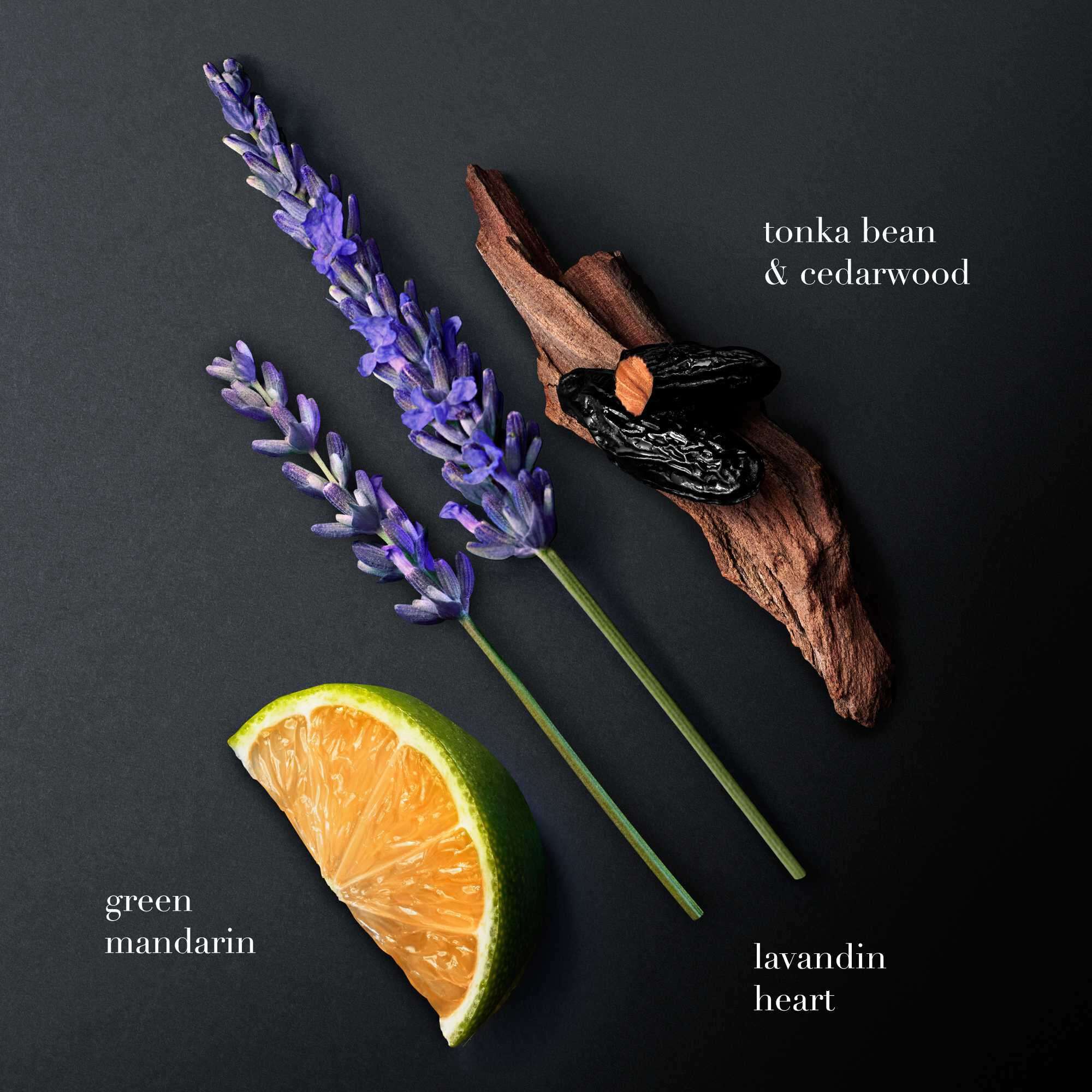Une vue a plat sur un fond sombre presente trois ingredients cles du parfum : la mandarine verte, le lavandin violet (lavande) et le bois de cedre avec des feves tonka noires brillantes. Chaque element est etiquete : "mandarine verte", "coeur de lavandin" et "feve tonka & bois de cedre".