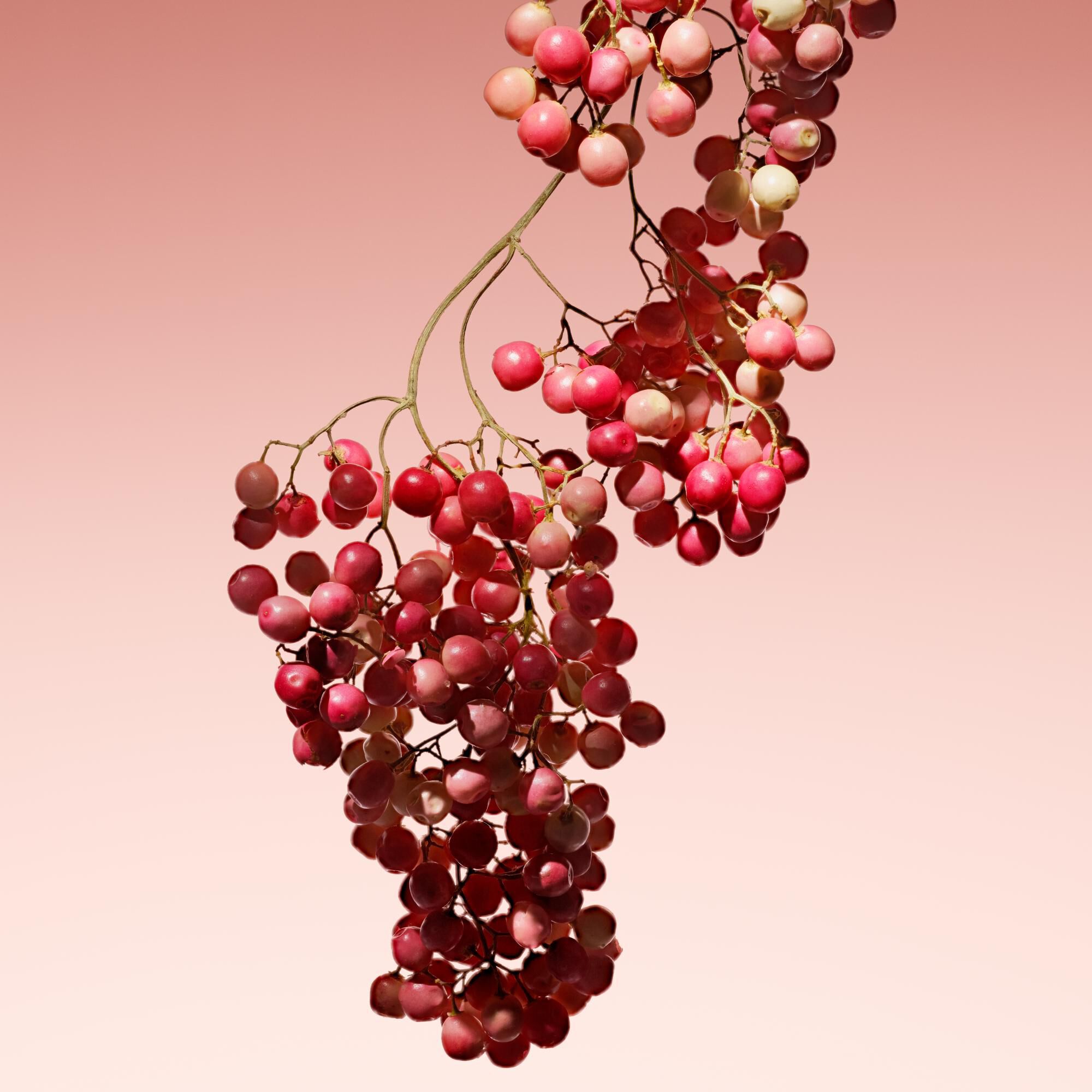 Armani Prive – Rouge Malachite