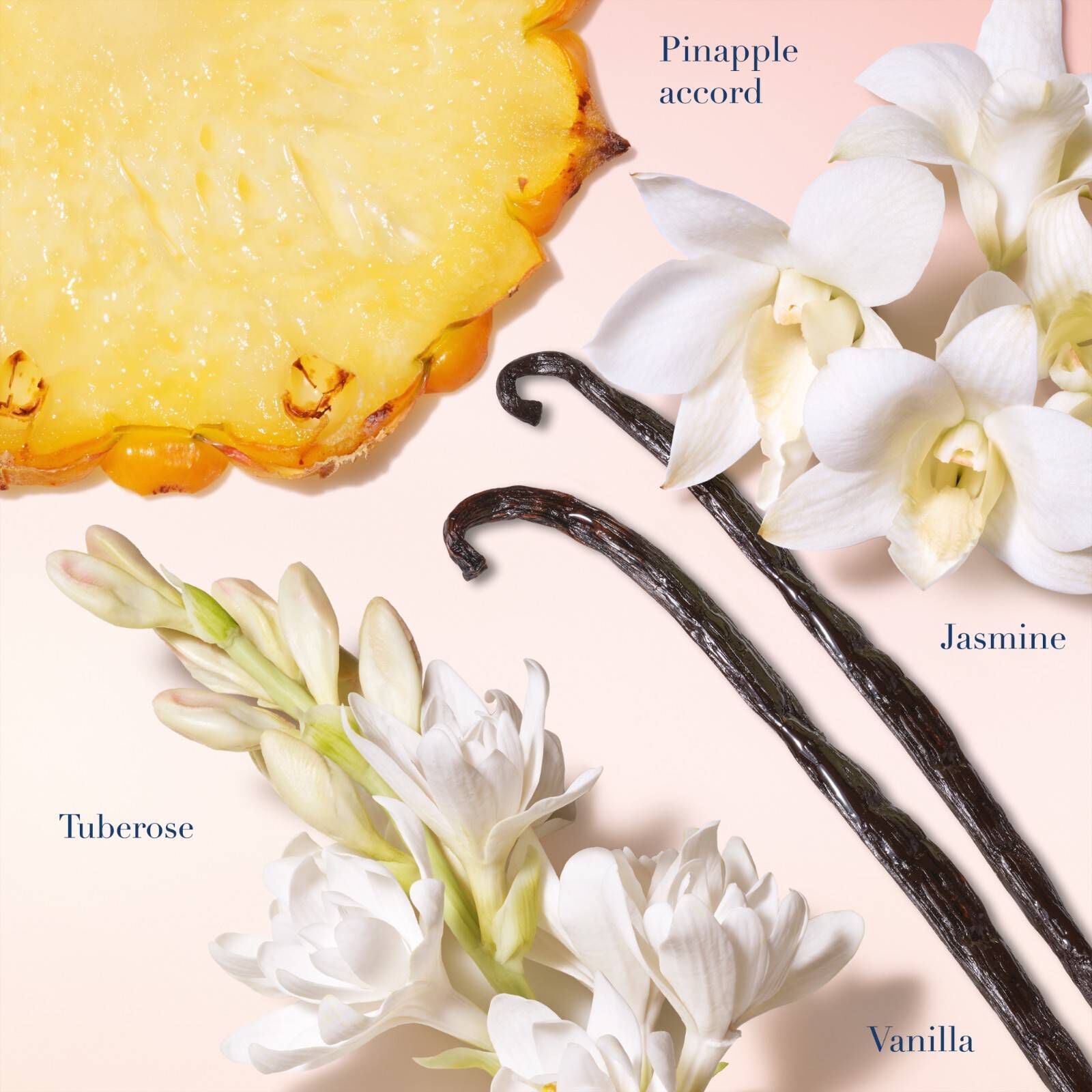 MEIN WEG EAU DE PARFUM SUNNY VANILLA