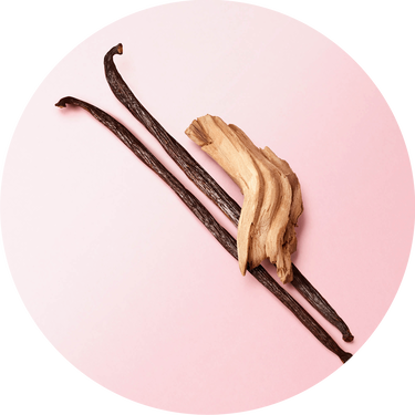 Deux gousses de vanille et un morceau de bois de vanille sur un fond rose doux.