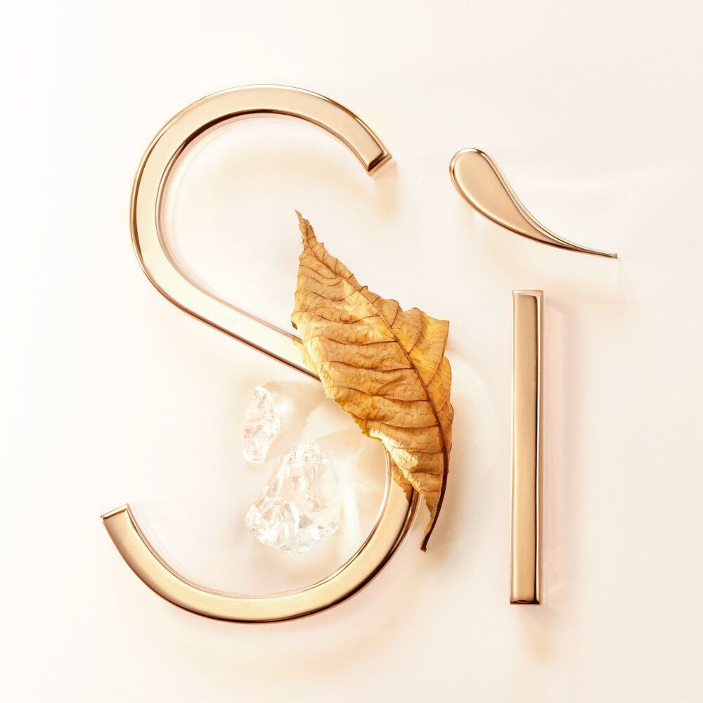 Goldene Buchstaben „S“ und „i“ mit einem trockenen Blatt und zwei Kristallen auf hellem Hintergrund. Elegantes, natürliches Design.